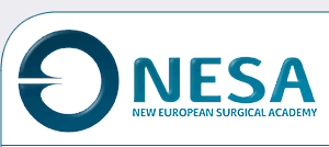 nesa